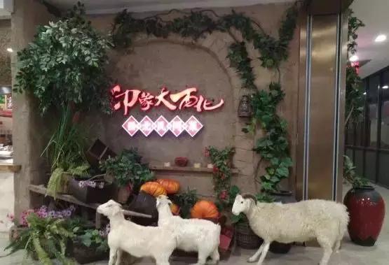 唏嘘！福州印象大西北全部停业！细数福州近年倒下的餐饮品牌！