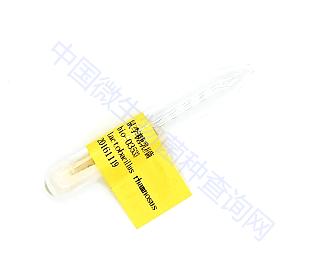 鼠李糖乳杆菌怎么提取的,鼠李糖乳杆菌作用效果