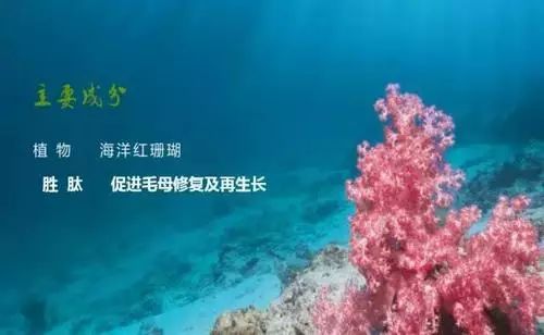 每天涂睫毛膏有助于睫毛生长吗,睫毛打底会促进睫毛生长吗