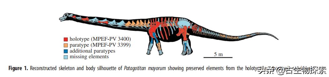 巴塔哥尼亚的巨兽纪录片,巴塔哥泰坦龙介绍