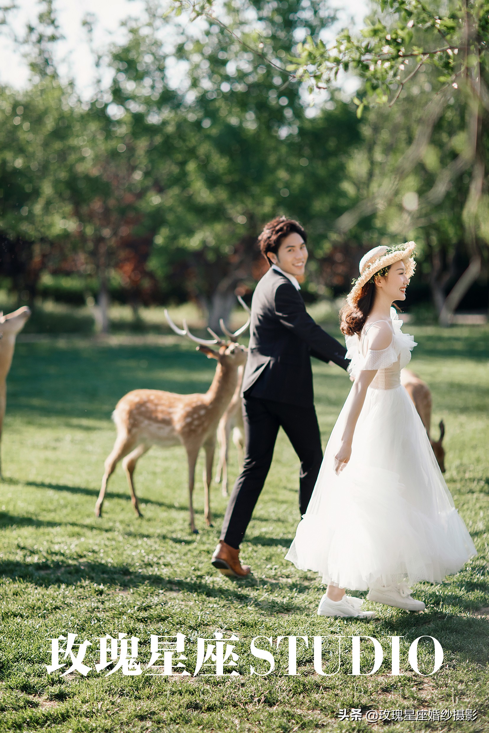 婚纱照必拍的9种风格,韩式小清新可爱俏皮室内婚纱照