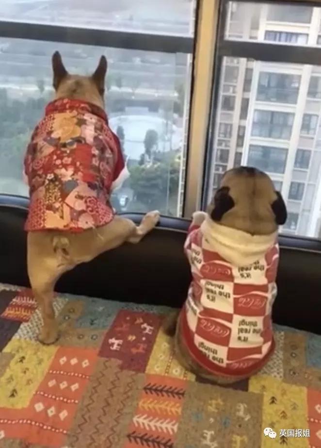 宅家无聊自娱自乐想跳就跳就好,宅家无聊自娱自乐开心一刻