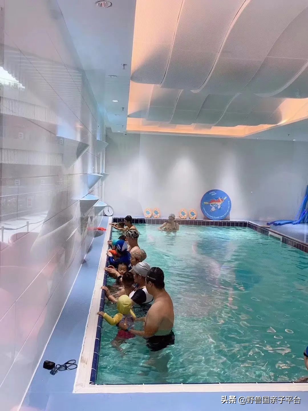 东莞儿童篮球培训机构哪个好,东莞儿童健身球哪家好