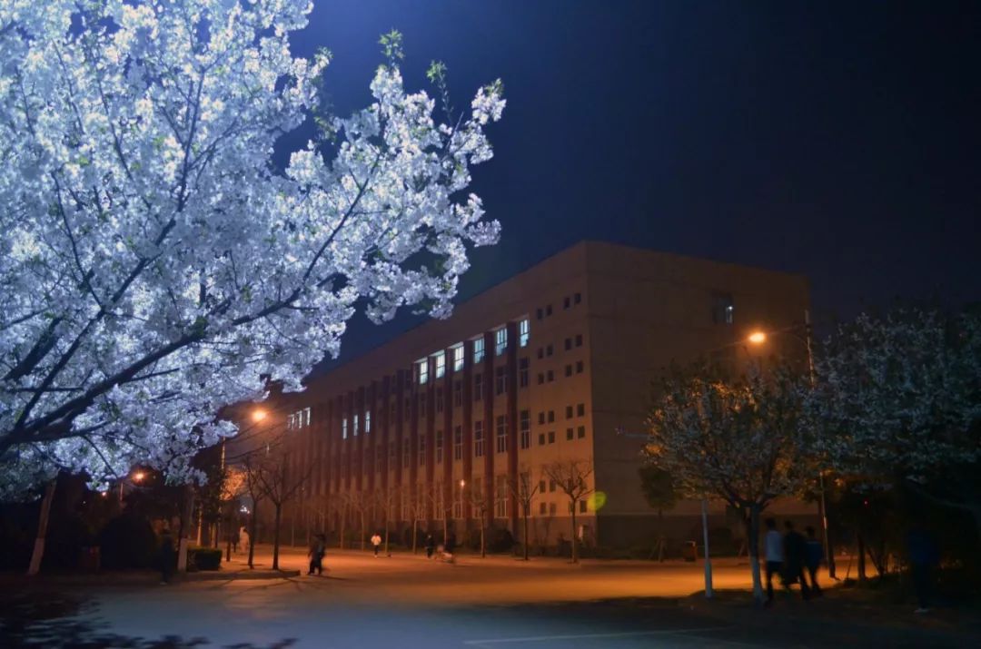 作文片段小学,作文片段模板