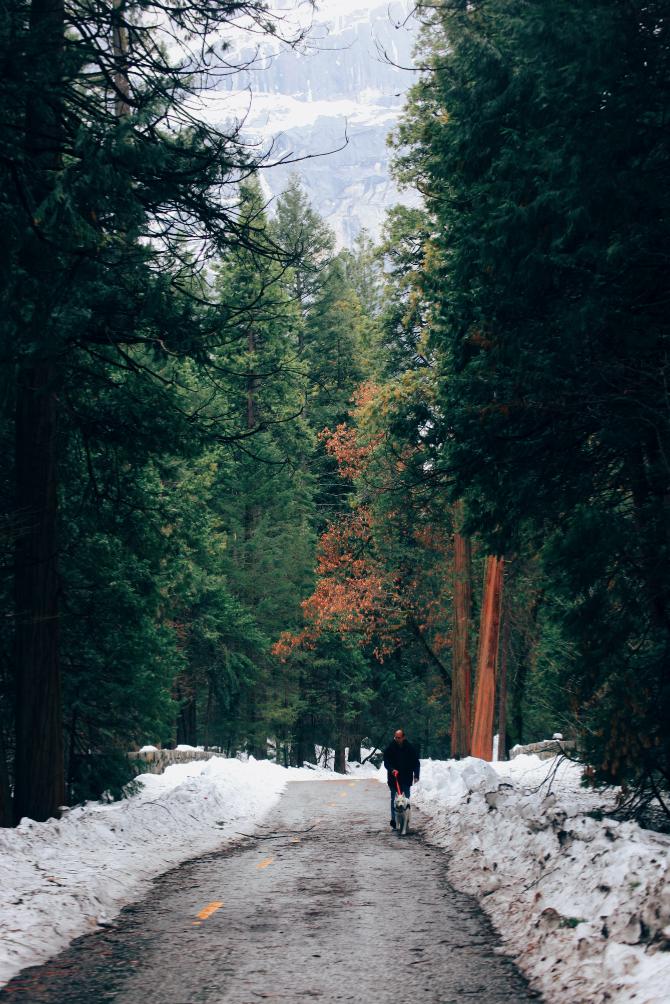 经典复古胶片风,最好看的胶片风格
