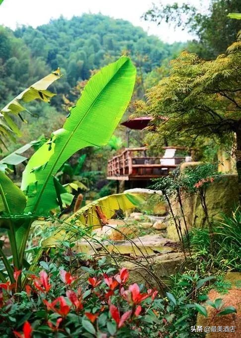 为一姑娘，10年他把30亩荒地打导致梦想家园，让人懂得真爱的意义