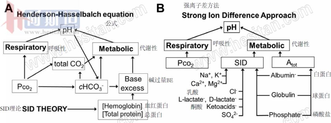 张廷青：如何应用强离子差理论诊疗防奶牛体内酸碱失衡？