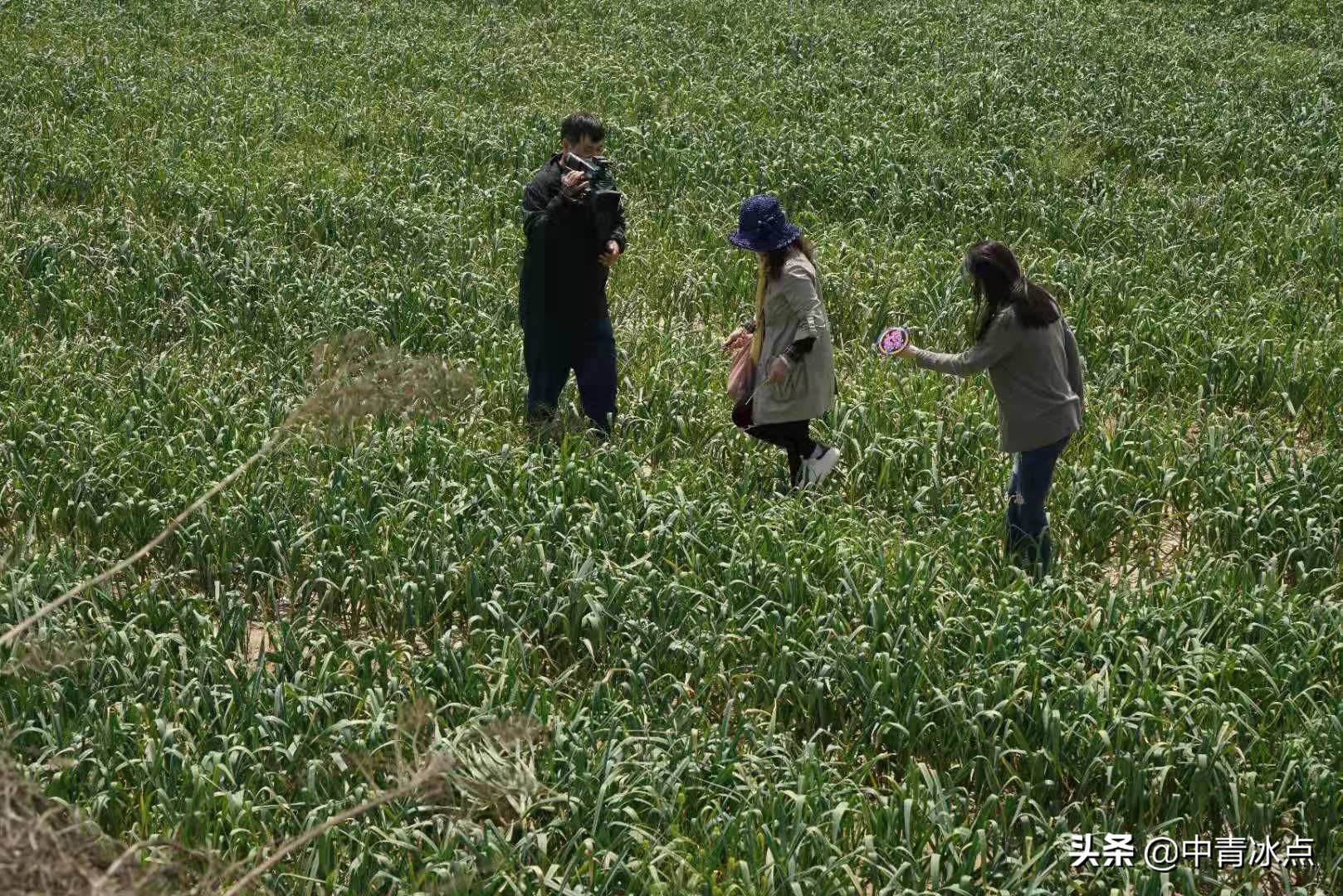 在河南，有19个叫“小莉”的姑娘以帮忙为工作，帮人*薪讨**、维权、寻亲，有时却会遭受辱骂、恐吓、殴打