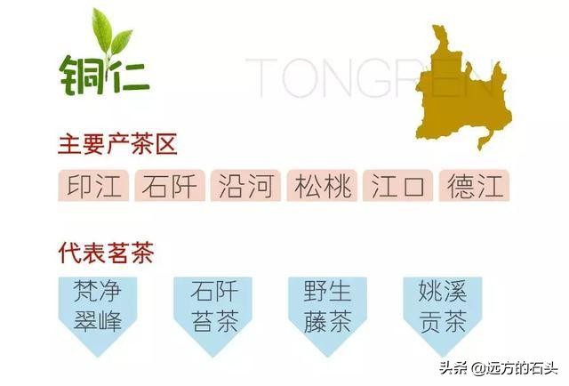 十大名茶贵州哪个茶上榜,贵州好喝的茶叶有哪些