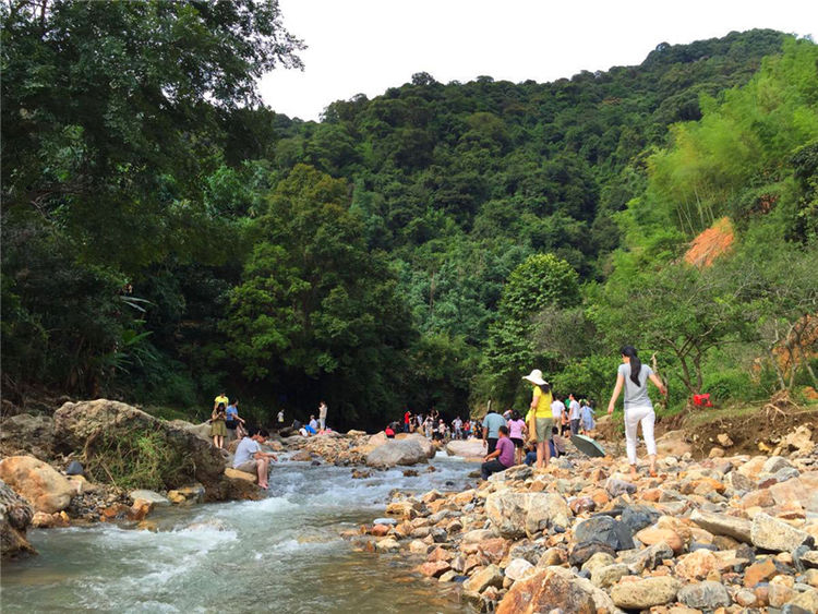 从化溪头村自由行攻略,8月从化溪头村旅游攻略