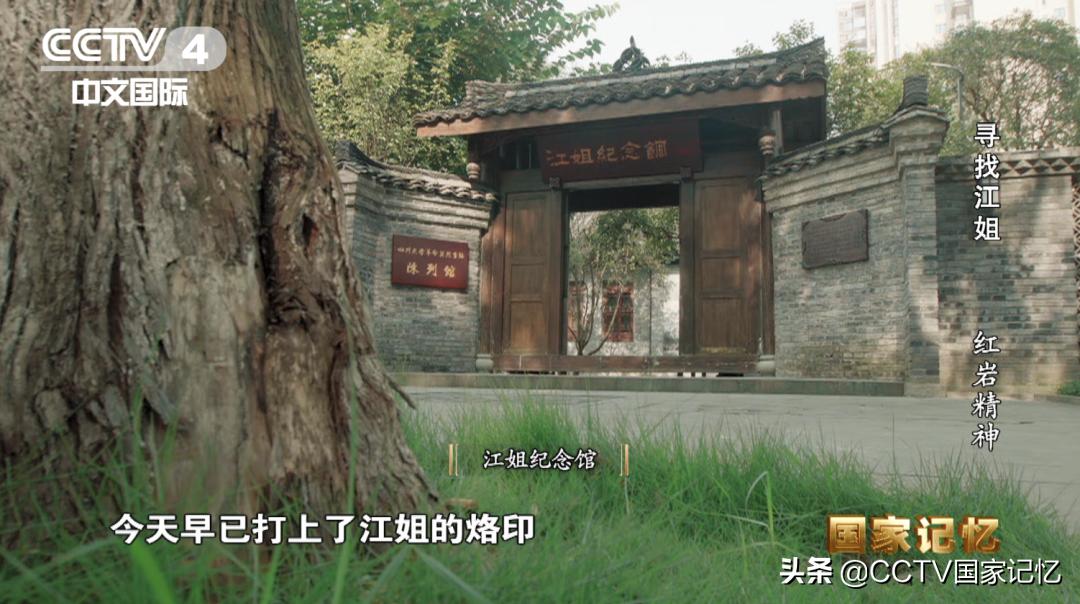 闈炰汉鎶樼（灏忚,闈炰汉鎶樼（