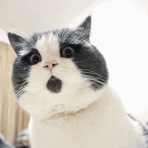 20200202！星期日！青岛民政局上班