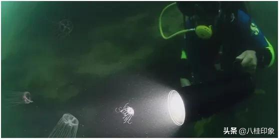 灵山秀水养生仙境,灵山秀水常来常往