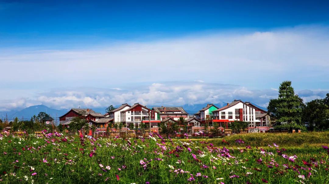 你好，我叫郫都，这是我的最新简历