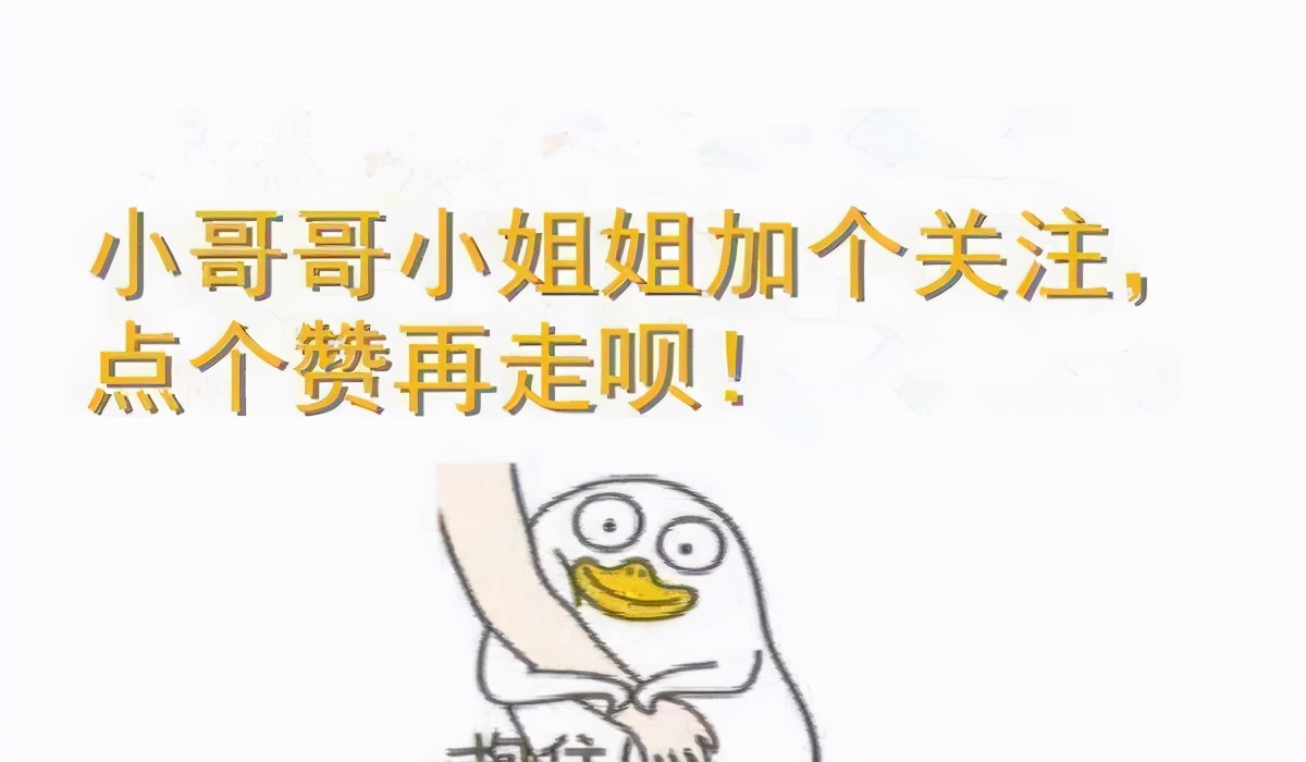 布偶猫奶猫多少钱一只,猫中贵族布偶猫