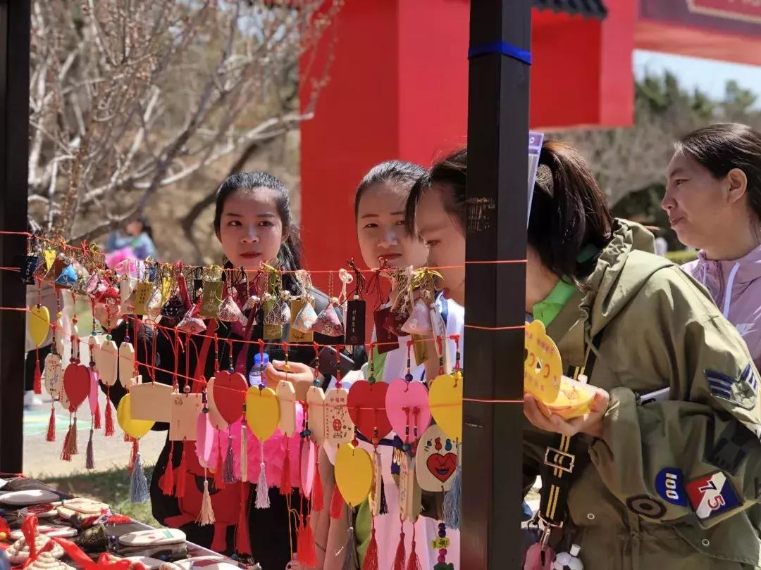 一起去旅顺赏樱花,旅顺樱花节美景
