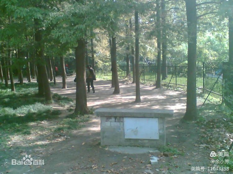 上海中山公园介绍,上海中山公园