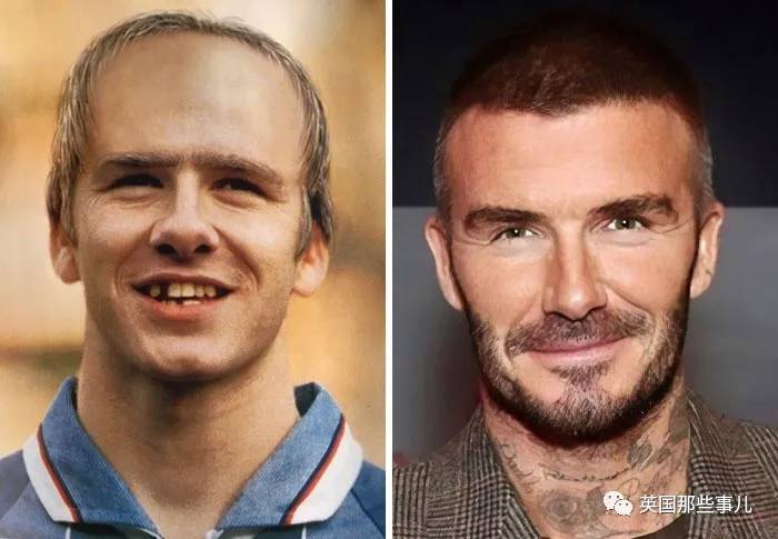 蓝鲸实拍有多大,蓝鲸到底有多大参照物