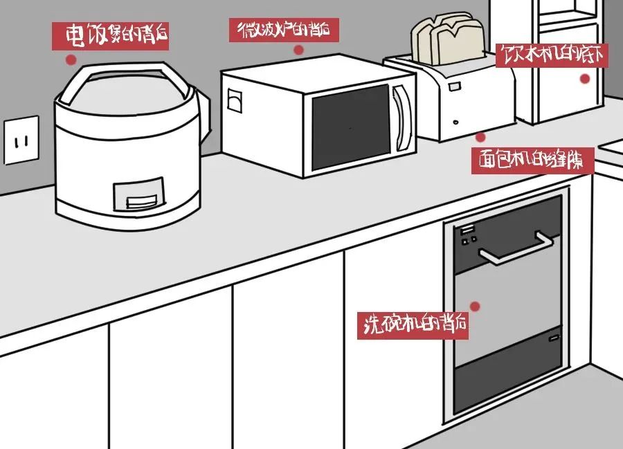 北方人第一次见到会飞的蟑螂,北方人第一次看到会飞的蟑螂反应