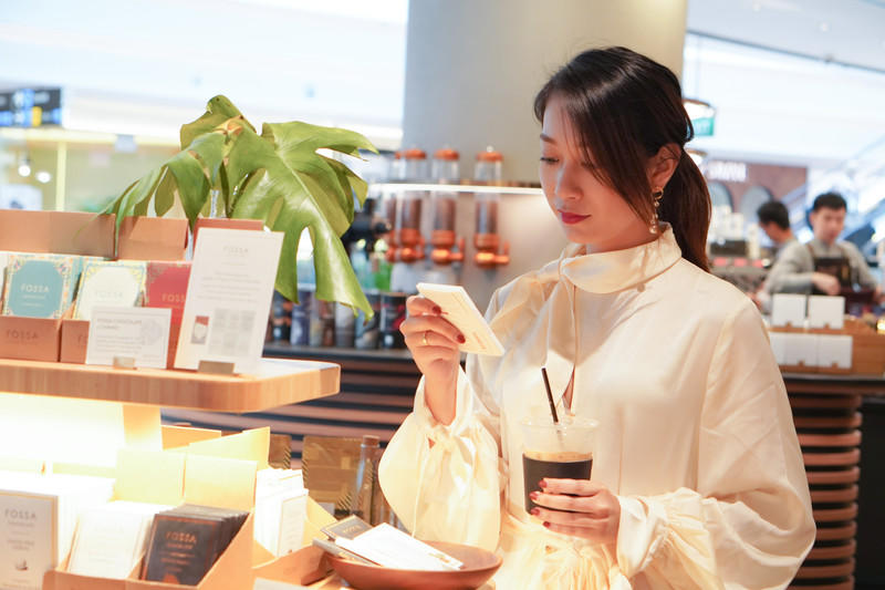 一人一猫环游,一人一猫旅行