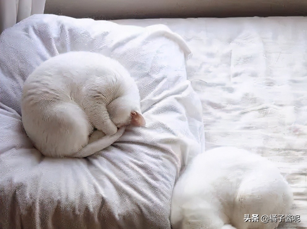 穿恨天高坐地铁的社死现场，两位男士都不忍看这次“崴脚表演”