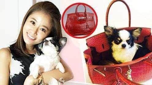 王源王俊凯易烊千玺唱波斯猫,ella谈千玺