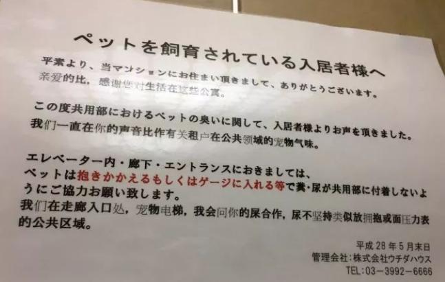 日语中文翻译段子,日语中的大神翻译