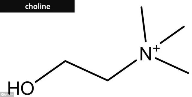 减脂每天吃够三大营养素可以瘦吗,减脂三大营养素一定要吃够吗
