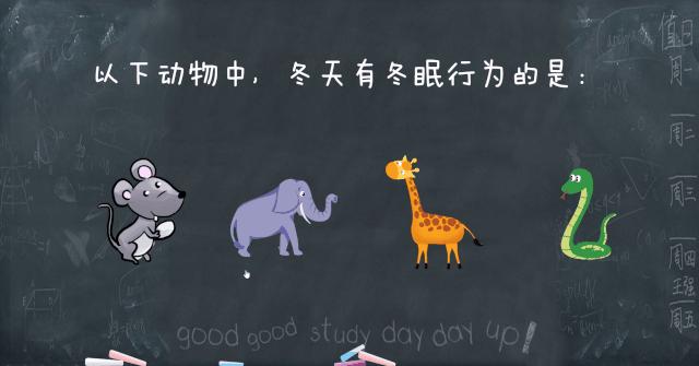 ppt触发器的有效利用,ppt触发器隐藏功能