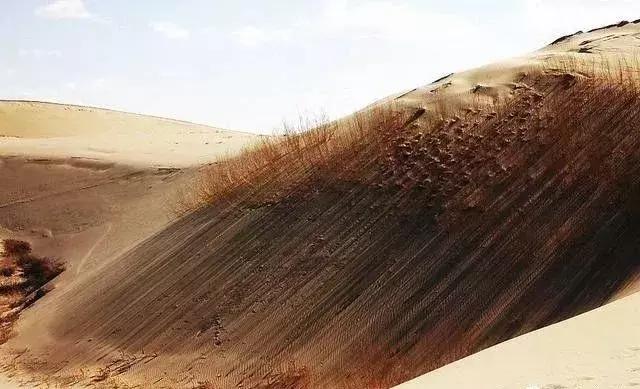 内蒙古通辽景点排名第一的是哪里,内蒙古通辽市旅游景点都有哪些