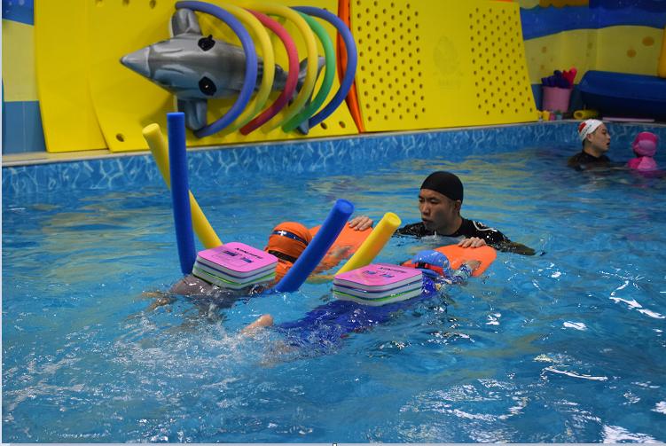 水育早教潜水小知识,水育早教与传统潜水教学的区别