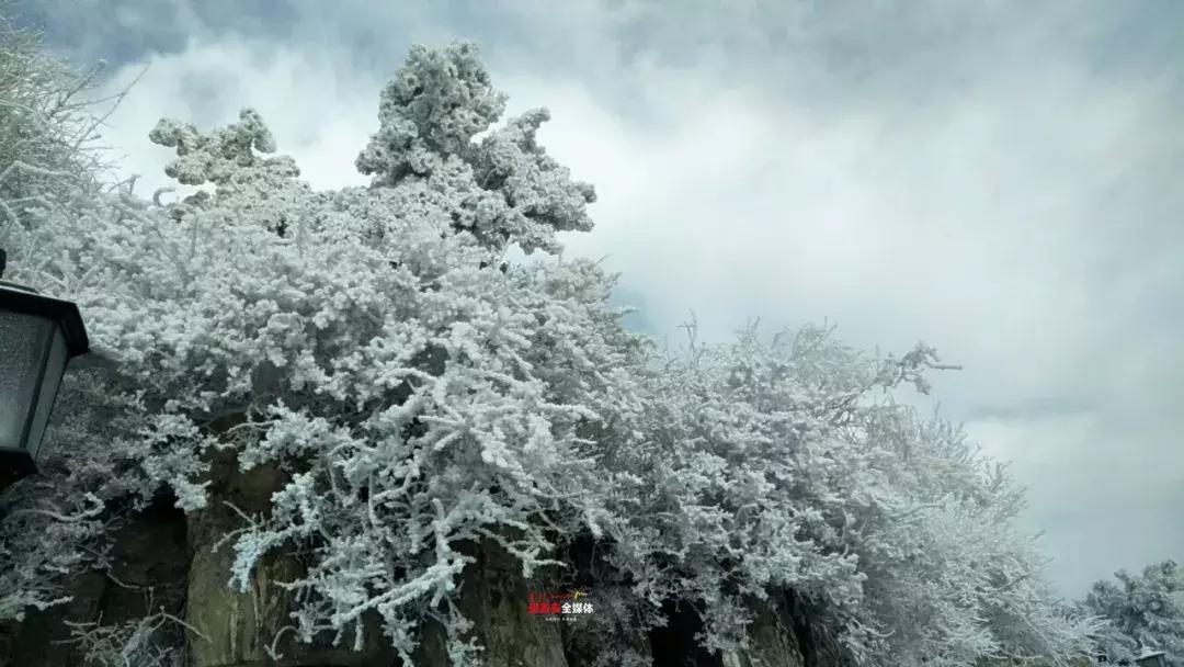 此刻泰山成了雪国，美到无言！高清美图来袭，“雪国的列车”即刻发车！