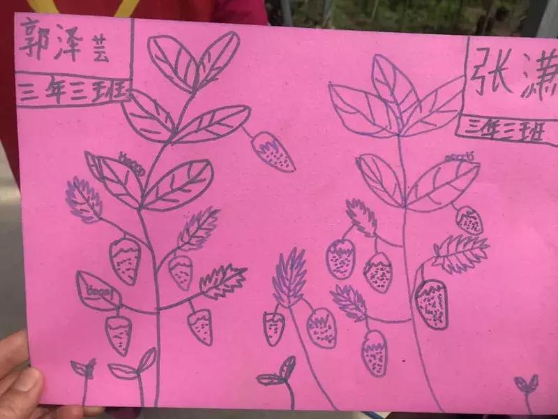 【益西户外营地教育】金川第六小学野狐湾自然研学营圆满结束！