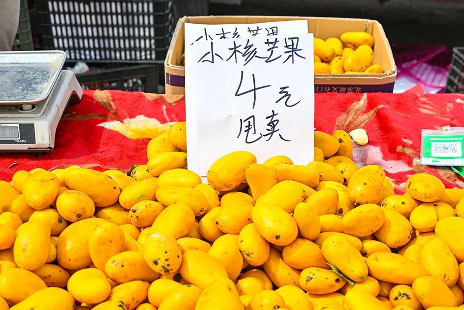 北京京郊大集地理位置,今天京郊哪有大集