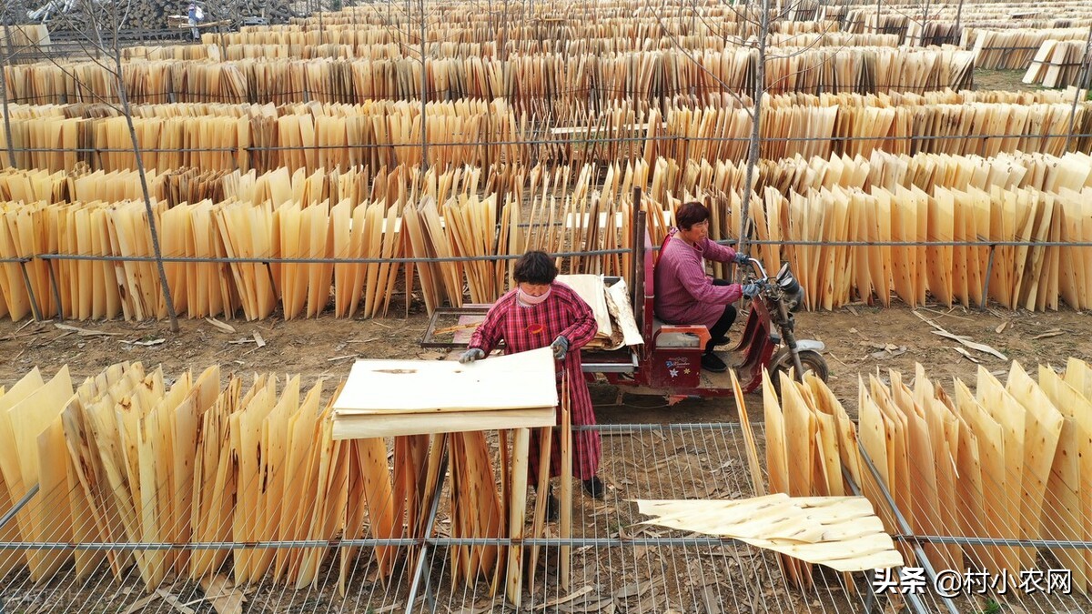 适合农村创业的29个项目,2022乡镇致富新项目