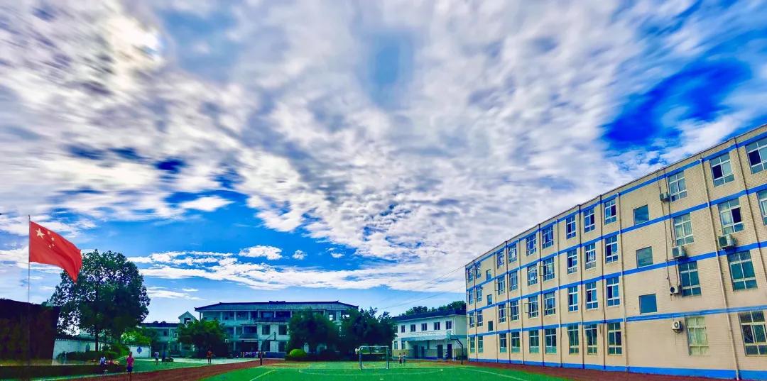 2022年小学全面工作总结,小学上半年工作总结及下半年计划