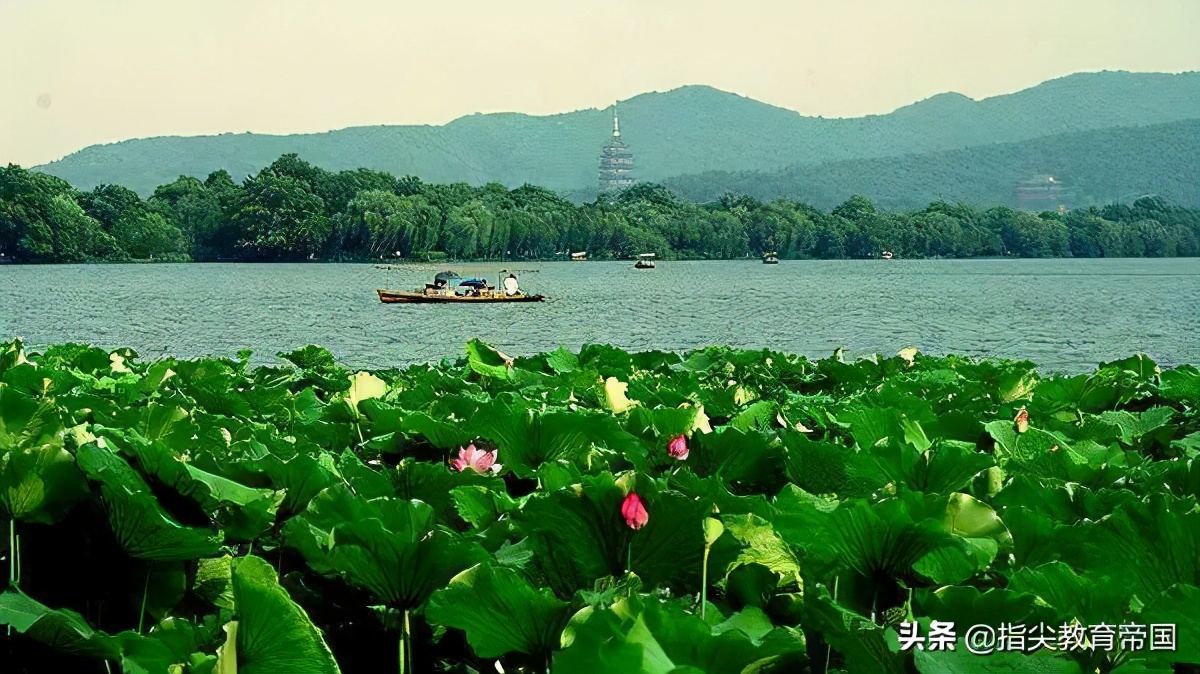 三年级古诗三首重点归纳讲解,三年级17课古诗三首教程视频