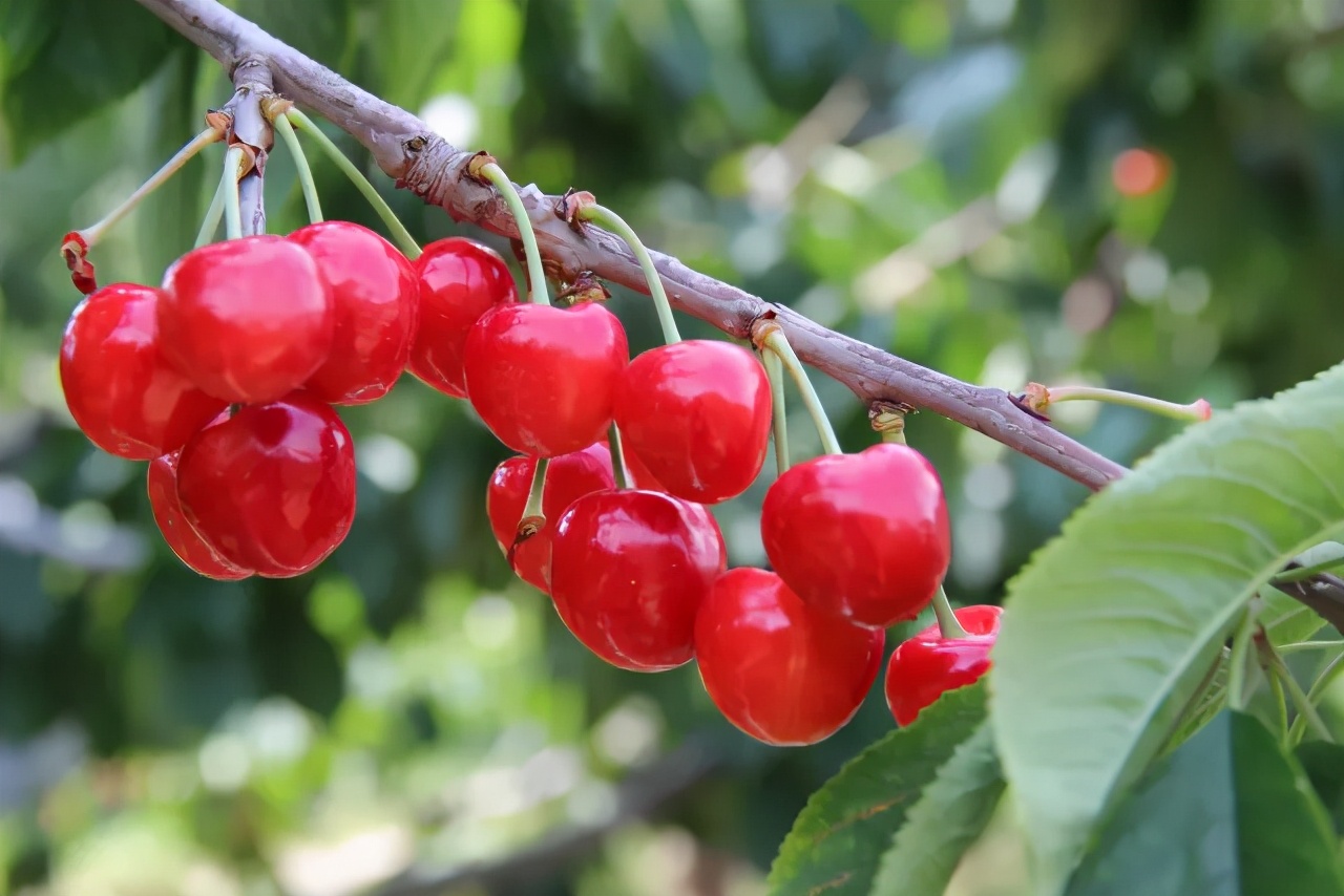 最美的乡村旅游攻略,五大最美乡村旅游攻略