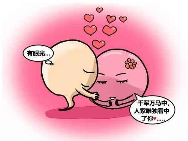 没有成功遇上卵子的那些精子都到哪里去了？看完你就涨知识了