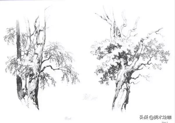 静物素描风景图临摹,简单又好画的彩铅素描风景图