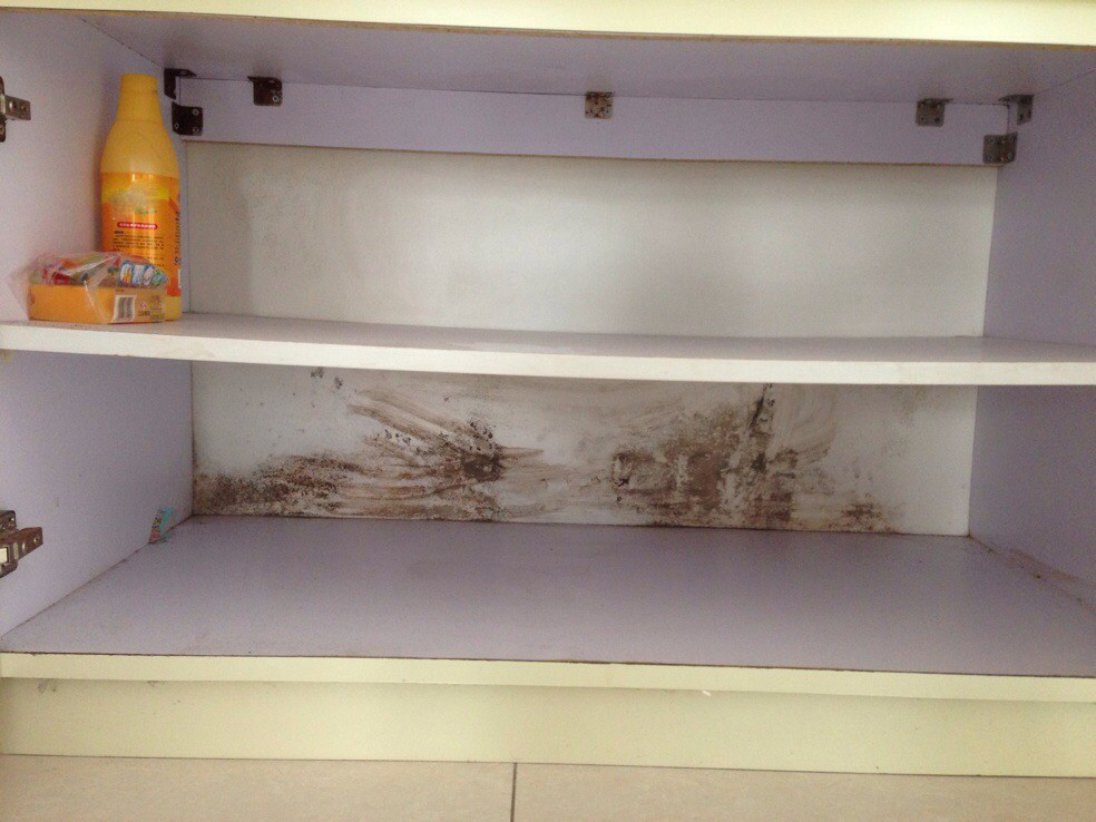 家里太多蟑螂不用蟑螂药,家里有蟑螂不用买蟑螂药