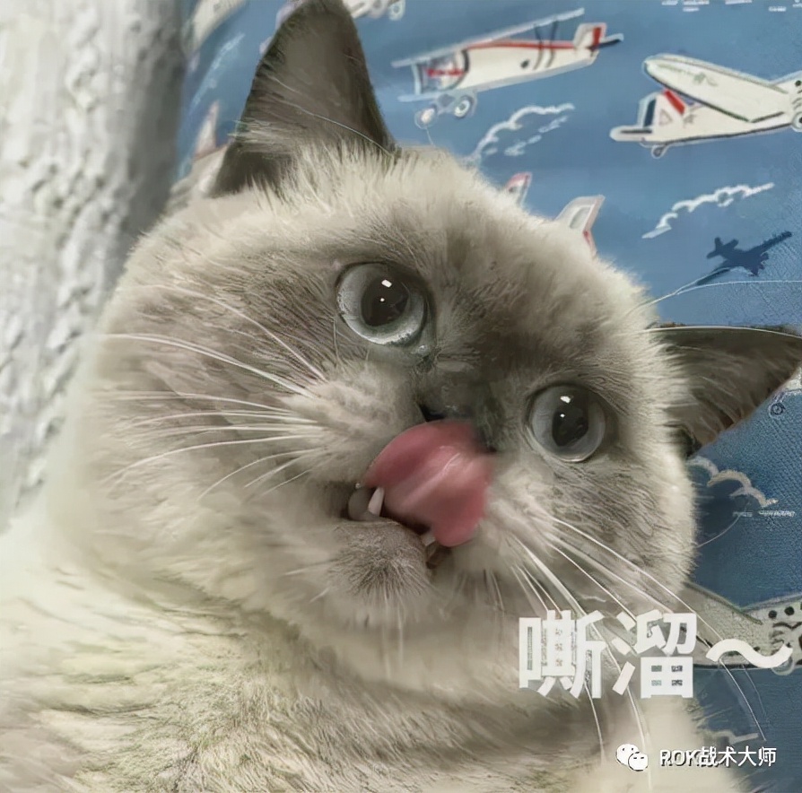 万国觉醒重伤率怎么算,万国觉醒哪个统帅可以死亡变重伤