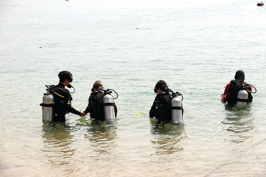 大亚湾三门岛,三门岛远眺大亚湾