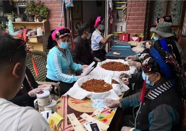 罕见的高山雪莲雪菊,四川丹巴雪菊