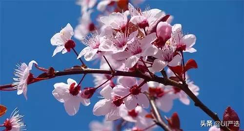 免费高清图片网站有哪些,免费无版权图片素材网站有哪些