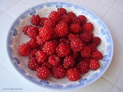 舌尖上的美食儿时的味道找了好久,有一种美食叫做童年回忆