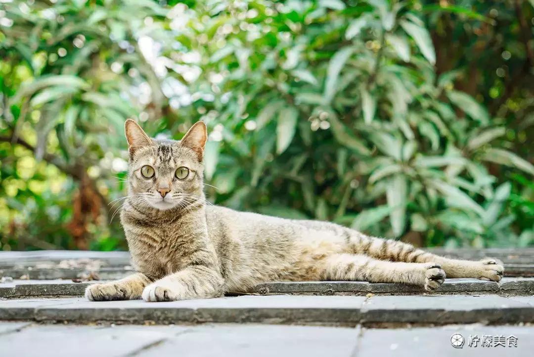深圳藏在巷子里的酒馆清吧,藏在深圳闹市里的复古小酒馆