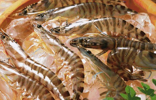 生鲜速达！诸城冷链物流渤海智慧易购生鲜商城正式上线