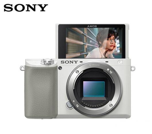 2021年买单反还是微单,微单与单反初学者如何选购