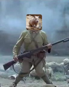 露腿怎么做才能美腿,谁不想拥有一个苗条的身材